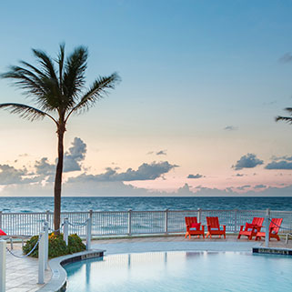 Pool and palm tree