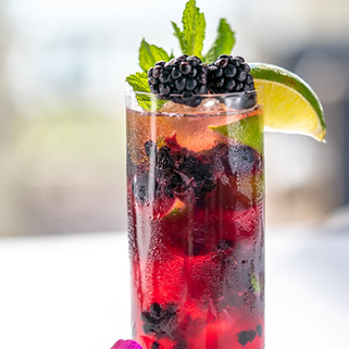 Berry Mojito