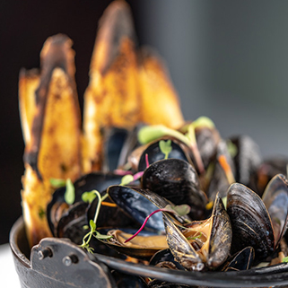 Mussel dish